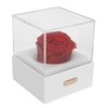 Rose Night Light Romantic Small USB Charging Soft Brightness Decoration