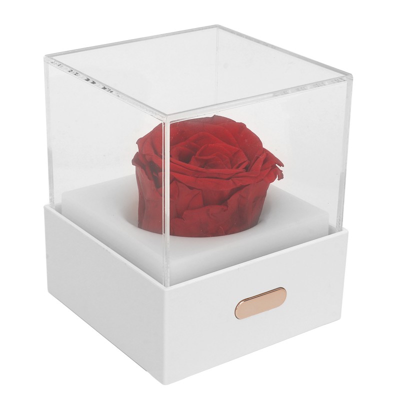 Rose Night Light Romantic Small USB Charging Soft Brightness Decoration