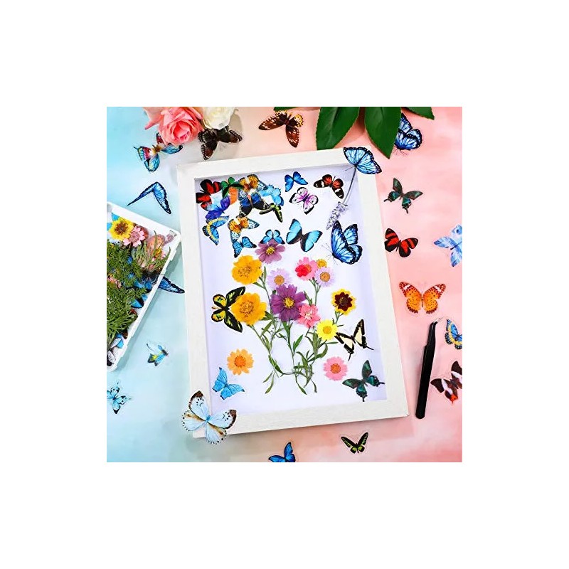 Nuanchu Set De Pegatinas De Flores Y Mariposas Secas Prensado