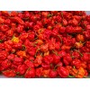Shade Time Artisan Hot Sauce Artisan Hot Sauce, 5oz, Carolina