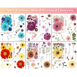 eBoot 72 Pcs Dried Pressed Flowers for Resin Molds Real Pressed Flowers Dry Leaves Bulk Natural Herbs Kit for Scrapbooking DIY Art Crafts Jewelry Molds Candle Soap Making Nails Decor (Charming Style)