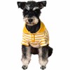 Cute Dog Clothes Striped Dog Polo Shirts Cute Sweater Puppy