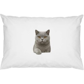 Azeeda 2 x 'British Shorthair Cat' Cotton Pillow Cases (PW00044324)