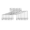 Wentronic 68911-GB Pinout 1:1 1 x RJ45 Plug to 2