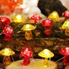 JASHIKA Solar String Lights (Red-Yellow)
