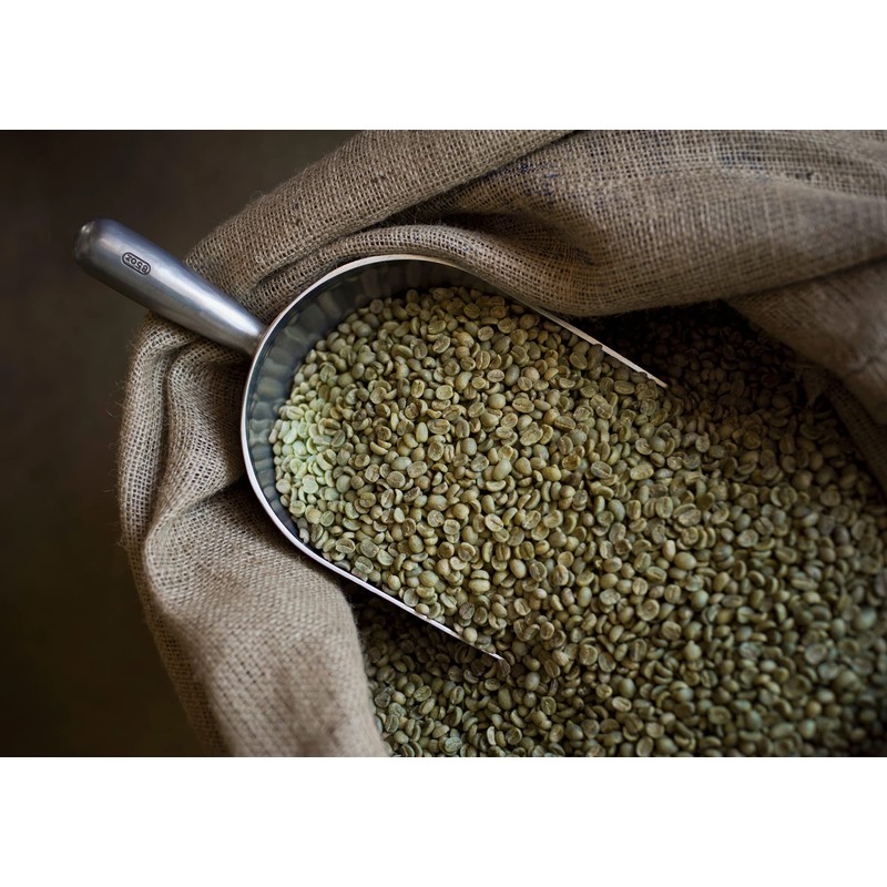 Moreish Coffee Bags - Ethiopian Sidamo (50 Single Origin Coffee