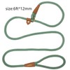 Soft Paracord Rope Slip Lead Dog Leash, Slip Leash for