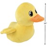 Rhode Island Novelty 16" Duck Includes 1 Stuffed Animal