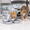 Petmate Replendish Feeder with Automatic Cat and Dog Feeder Grey,