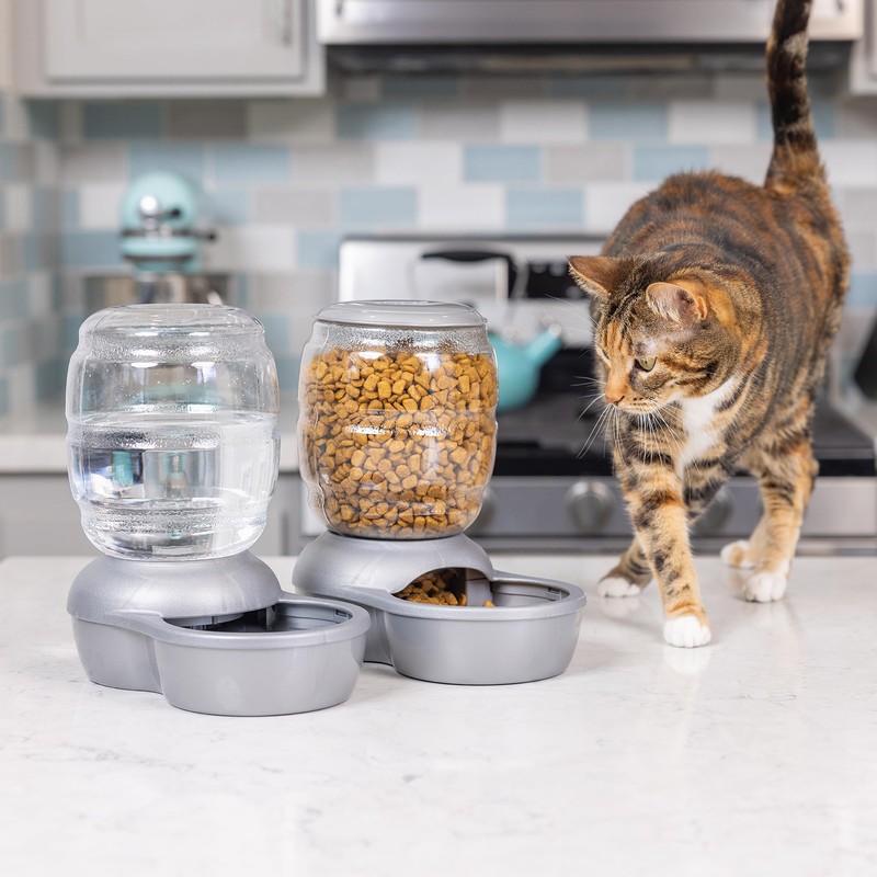 Petmate Replendish Feeder with Automatic Cat and Dog Feeder Grey,