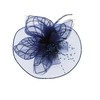 Zac's Alter Ego Lace & Net Fascinator with Feathers on