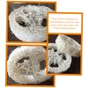 Baluue 10pcs Natural Loofah Dish Sponges Durable Kitchen Cleaning Tools