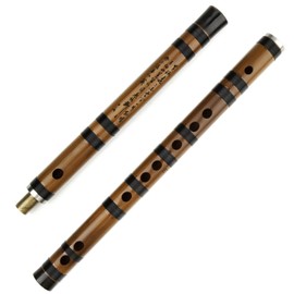 Handmade Two Sections Joined Bamboo Flute Dizi Chinese Traditonal Musical Instrument (Key E Bag)