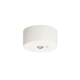 Panasonic NNFB90005C Direct Ceiling LED Daylight White Emergency Lighting Fixture 30 Minute LED Low Ceiling for Small Spaces ~3 m Self-Inspection Switch Included Remote Control Self-Inspection Function
