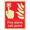 VSafety 13001AN-G "Fire Alarm Call Point" Equipment Sign, Glow In