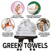 2 Pack Bath Sheets Towels Extra Large Set, Greek Pattern