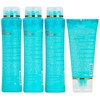 PURE BRAZILIAN - 4 Piece Essential Travel Size Kit: Anti-Frizz