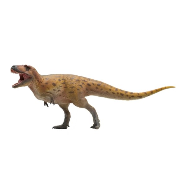 N/A Lythronax Tyrannosaurus Kin Theropod Dinosaur Prehistoric Model PNSO