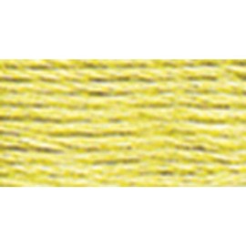 DMC 117-165 Mouline Stranded Cotton Six Strand Embroidery Floss Thread, Light Moss Green, 8.7-Yard