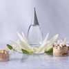 Alfred Sung Alfred Sung Women's Perfume, Shi, Eau De Parfum