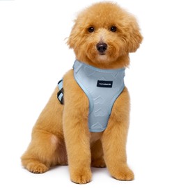 No Pull Puppy Harness and Leash Set – No Choke Neoprene Dog Harness for Extra Small Dogs (3–8 lbs) – Blue XXS, Lightweight Breathable Mesh with Unique Heart Pattern, Adjustable Fit