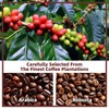 GANOHERB Mushroom Coffee Alternative Cappuccino Mix, Instant Coffee Drink with
