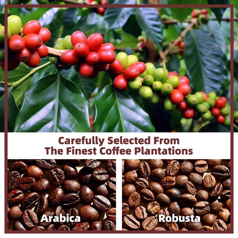 GANOHERB Mushroom Coffee Alternative Cappuccino Mix, Instant Coffee Drink with