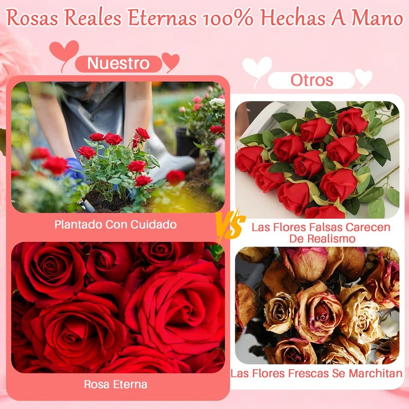 Nasjac Flor Rosa Eterna,Collar y Pendientes,Oso LED,Regalo Ideal para Mujer