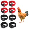 TVSVKWE 8 Pieces Rooster Collar, Adjustable Collar, Poultry Supplies, Anti-Rooster