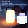 Smart Night Light APP Voice Control Rechargeable Timer WiFi Bluetooth