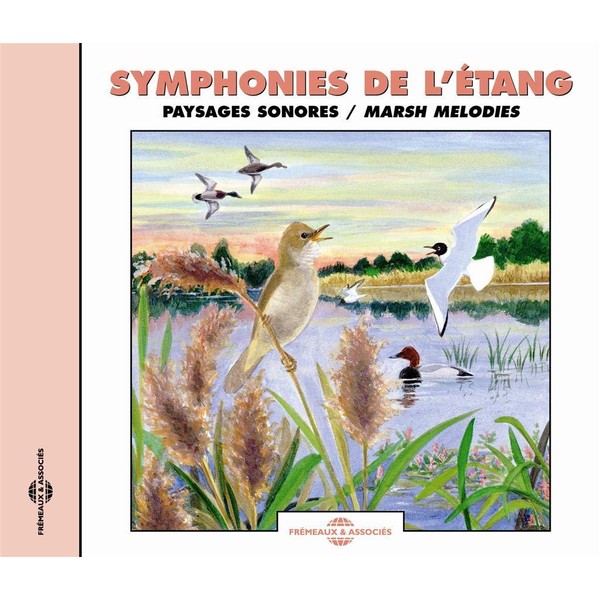 Marsh Melodies: Natural Soundscape