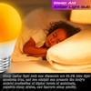 Elmoyle Amber Sleep Light Bulbs 1800k, Blue Light Blocking, Dim