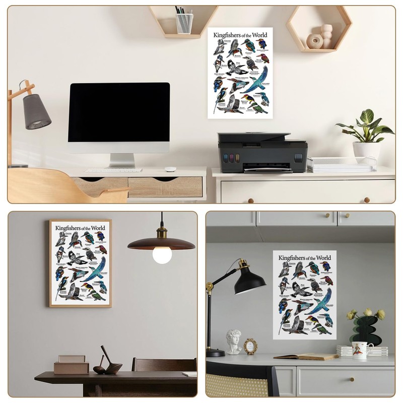 Cipszoely World Kingfisher A3 Identification Reference Educational Wall Poster, Perfect