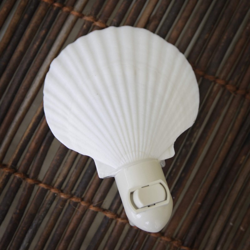 Tumbler Home Real Sea Shell Beach Night Light Real, Natural,