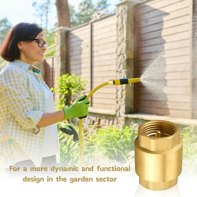 3/4 Inch Brass Check Valve with Female Thread, DN20 Backflow