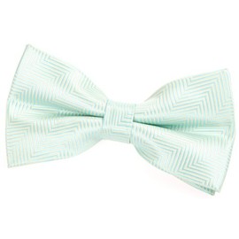 Retreez Herringbone Stripe Woven Pre-tied Bow Tie (5") - Mint Green