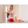 Chesapeake Bay Candle Scented Candle Stillness + Purity (Rose Water)