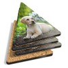 4 x Triangle Coasters - Cute Labrador Puppy Dog Animals