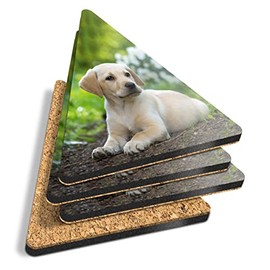 4 x Triangle Coasters - Cute Labrador Puppy Dog Animals Pets Cork Backed MDF Glossy Tea Coffee Accessory #8396