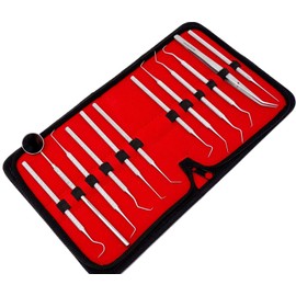 Set of 12 Stainless Steel Precision Micro Probe Scaler Set Combo, 5.5 inch- 6 inch Overall Length