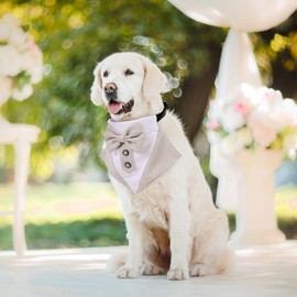 Dog Wedding Bandana Adjustable Formal Tuxedo Bandanas with Bowtie, Medium Large Dog Costume Tail Collar Neckerchief Pets Elegant Gentle Scarf for Wedding Party Gift and Birthday Occasions (Khaki, S)