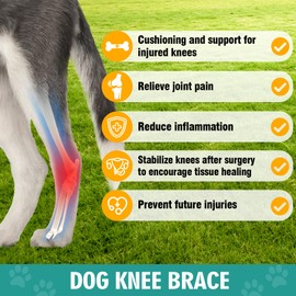 Dog Knee Brace for Torn ACL Hind Leg Support, Adjustable Dog Leg Braces for Back Leg, Cruciate Ligament Injury and Luxating Patella Recovery, Hip Brace for Dogs, Universal for All 4 Legs, L
