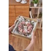 Daichi Farm DO001510-101 Preserved Flowers, Soft Pyramid Hydrangea Head, Baby