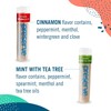 Preserve Toothpicks Cinnamint Refreshing Natural Cinnamon & Mint Flavored Toothpicks