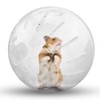 Hamster Exercise Ball Silent Hamster Wheel Small Animals Transparent Ball