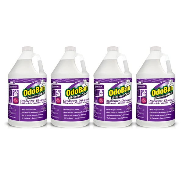 OdoBan Professional Disinfectant and Odor Eliminator Concentrate, 4-Pack, 1 Gallon Each, Lavender Scent