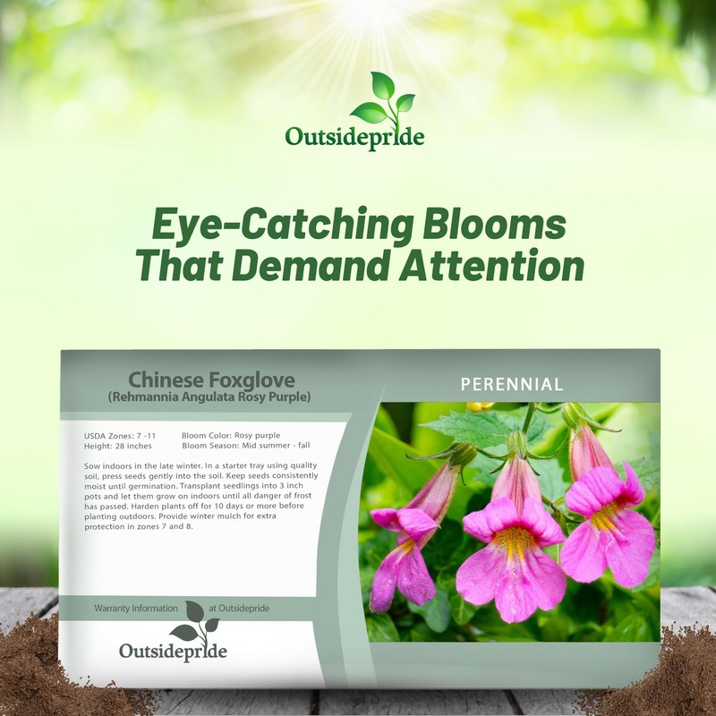 Outsidepride Chinese Foxglove Seeds - 2000 Pcs. Perennial, Versatile &