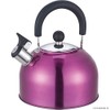 2.5 LITRE PURPLE WHISTLING KETTLE gas camping whistle WITH FOLD