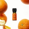 Camaldolia Lancio Amaro (Bitter Orange Essential Oil) 10ml / 까말돌리아란치오