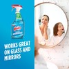 Windex Glass and Window Cleaner Spray Bottle, Packaging Designed to